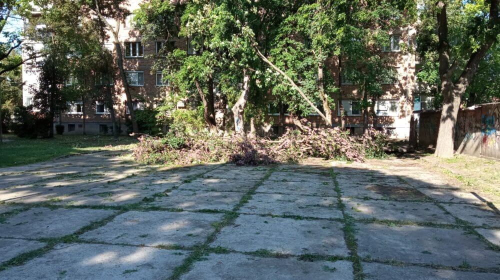 Zrenjanin: Čiste se ulice i uklanjaju posledice nevremena, na njivama pričinjena šteta 1