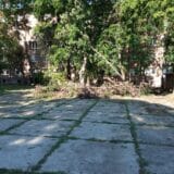 Zrenjanin: Čiste se ulice i uklanjaju posledice nevremena, na njivama pričinjena šteta 6