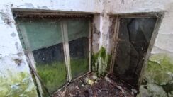 Propada legat slikarke Nadežde Petrović (FOTO) 6