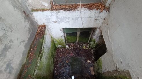 Propada legat slikarke Nadežde Petrović (FOTO) 8