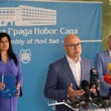 Novi Sad će formirati dnevni boravak za decu u riziku od nasilja 7