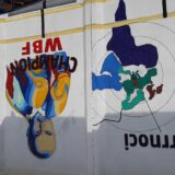 Selo od 6.000 stanovnika čiju volju građana čeka cela Srbija: Šta znamo o Velikom Trnovcu 12