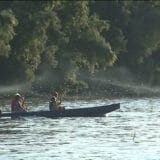 Cvetanje Tise privlači turiste u Novi Bečej 13