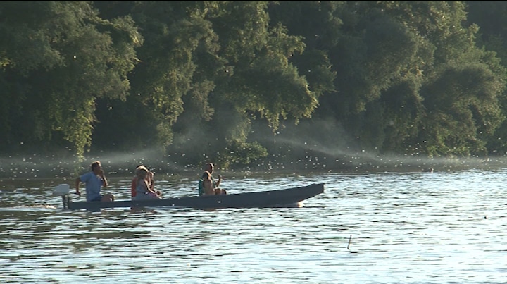 Cvetanje Tise: Šta o prirodnom fenomenu kaže legenda? 2