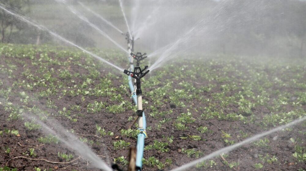 Poljoprivrednicima u Srbiji zbog klimatskih promena treba sve više vode za navodnjavanje 1