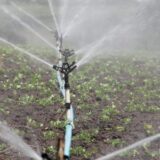 Ministarstvo poljoprivrede započelo obuke za bezbednu upotrebu sredstava za zaštitu bilja 2