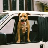 Izložba fotografija Nemanje Kneževića “Nema karta” u galeriji Kula 5