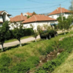 Vranje: Uređuje se put za Strelište i čisti korito Sobinske reke 19