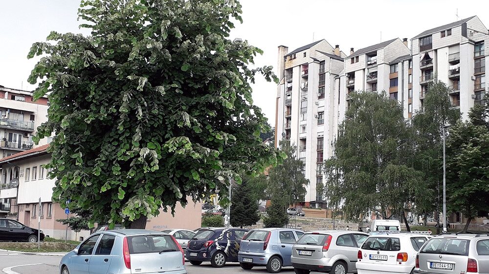 Potrošači u Sevojnu sutra bez vode 1