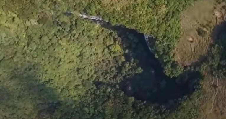Na dnu ogromne rupe u Kini pronađena drevna šuma, stabla od 40 metara 1