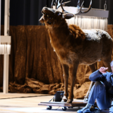 "Igra života" u borbi za život: Premijera "Kareno trilogije" Knuta Hamsuna u Rezidencteatru 7