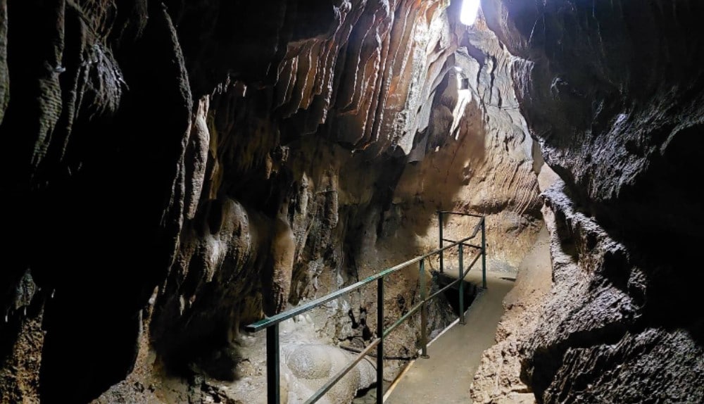Prelepa Bogovinska pećina odnedavno dostupna turistima: U njoj su našli utočište i zaštićeni slepi miševi i endemska vrsta rečnih rakova 5