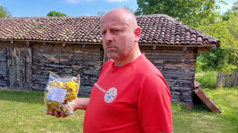 Kako je mašinac iz Boljevca postao travar i zašto bere lekovito bilje baš na Rtnju 1