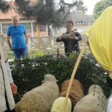 Zaječar: U Gamzigradu održan “Đurđevdanski sabor” 3