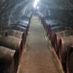 Mađarska (2): Vino iz dubokih podruma 46
