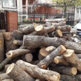Kubni metar ogrevnog drveta u Vranju premašio 60 evra 15