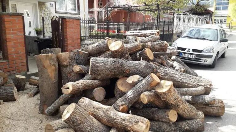 Kubni metar ogrevnog drveta u Vranju premašio 60 evra 1