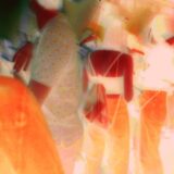 Novi singl benda Proto tip - "Duša u šaci“ 8