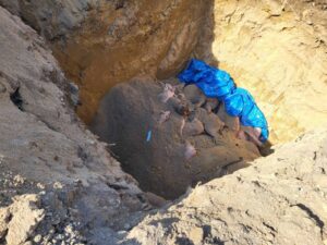 "Ovo je ekološka bomba": Protest zbog odluke Grada Niša o lokaciji na kojoj se ukopavaju svinje uginule od afričke kuge 2