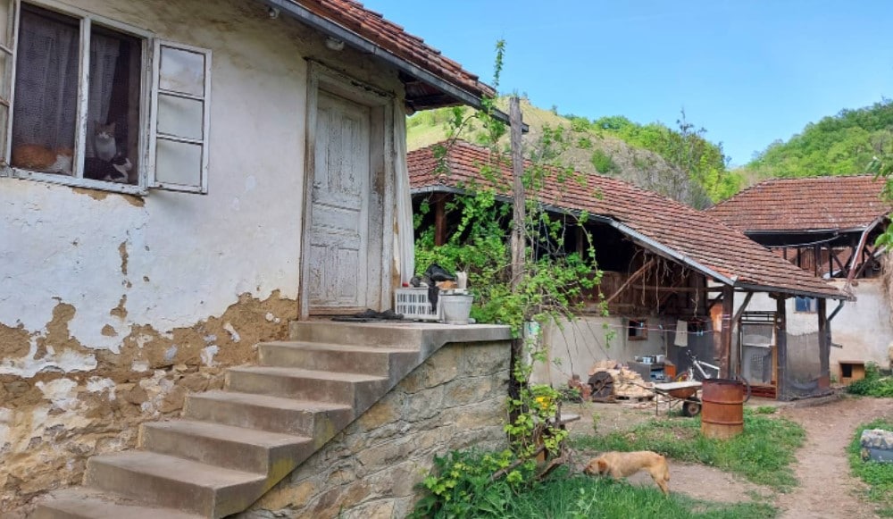 Porodica iz Rusije zamenila Moskvu selom pored Zaječara: Rat u Ukrajini je uništio našu ekonomiju ali o tome se ćuti 2 Porodica iz Rusije zamenila Moskvu selom pored Zaječara: Rat u Ukrajini je uništio našu ekonomiju ali o tome se ćuti 2