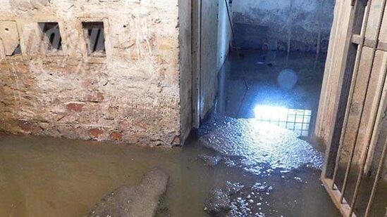 Loznica: Stanari prinuđeni da se isele zbog izlivanja fekalnih voda, nadležni ne reaguju 1