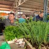 Proizvodnja rasada poskupela, Zrenjaninci sade više nego ranijih godina 1