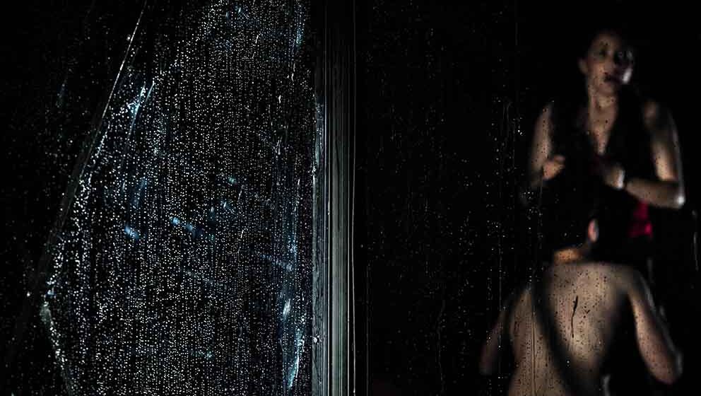 Budno oko duše Sterijinog pozorja 1