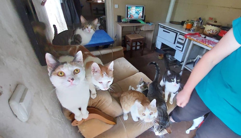 Porodica iz Rusije zamenila Moskvu selom pored Zaječara: Rat u Ukrajini je uništio našu ekonomiju ali o tome se ćuti 3 Porodica iz Rusije zamenila Moskvu selom pored Zaječara: Rat u Ukrajini je uništio našu ekonomiju ali o tome se ćuti 3