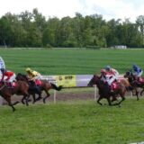 Na hipodromu u Bogatiću trijumfovao "Iron Boy" 8