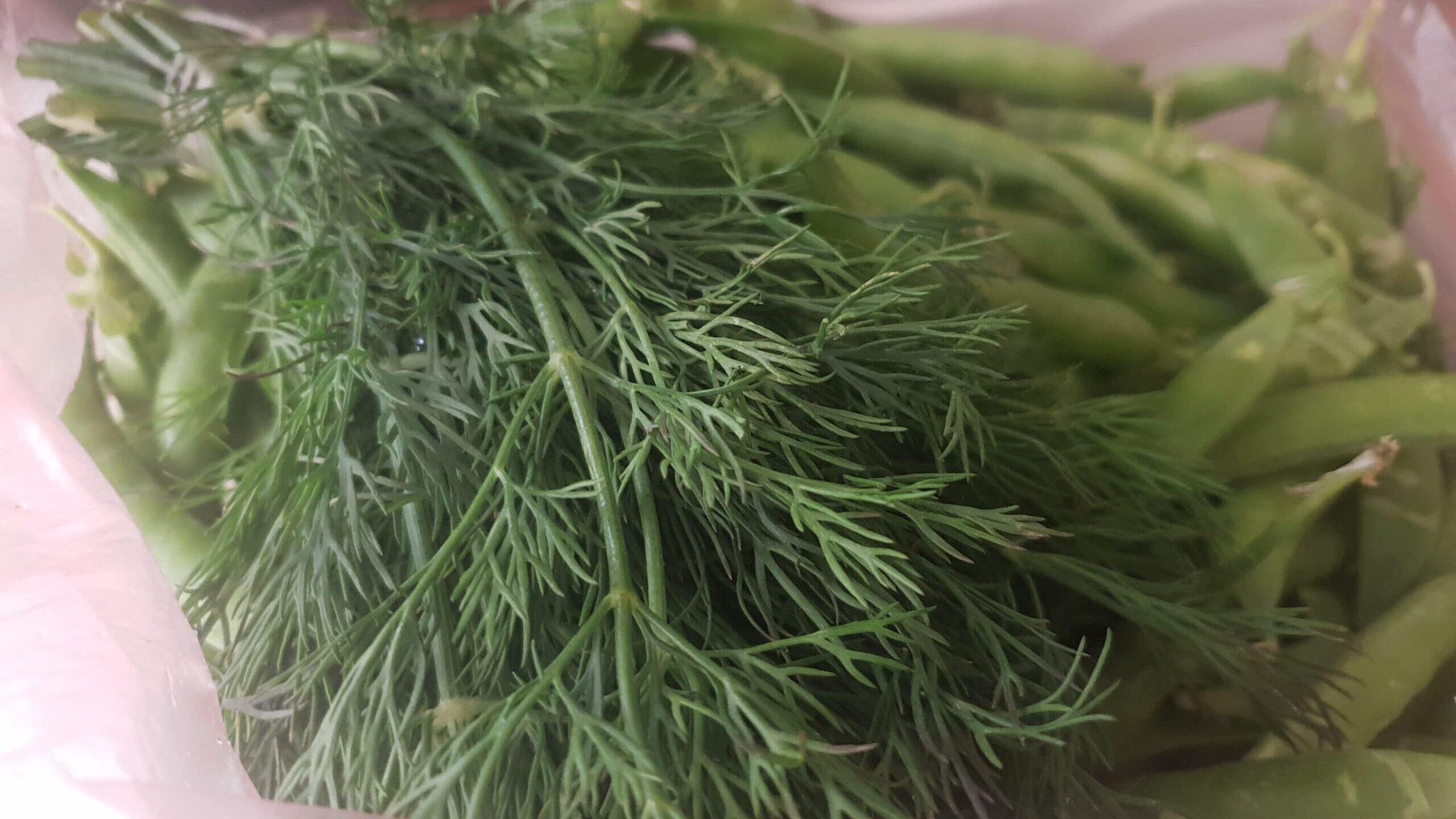 Recept uz meso, umesto mesa: Janija od kupusa i napitak za mamurne od tikvica 3 Recept uz meso, umesto mesa: Janija od kupusa i napitak za mamurne od tikvica 3