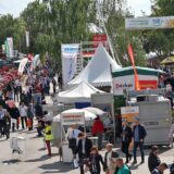 Bik Veliša glavna atrakcija Novosadskog sajma: Težak je 1.700 kilograma 13