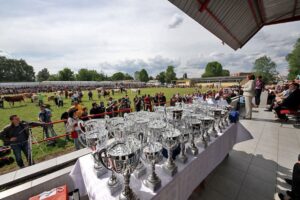 Bik Veliša glavna atrakcija Novosadskog sajma: Težak je 1.700 kilograma 2 Bik Veliša glavna atrakcija Novosadskog sajma: Težak je 1.700 kilograma 2