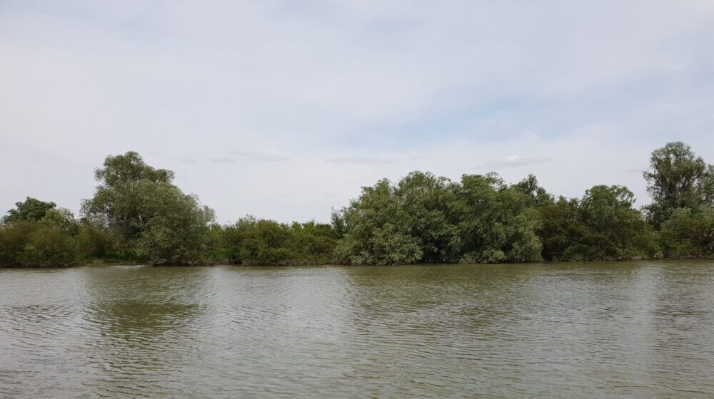 Na teritoriji Zrenjanina stanište zaštićenih vrsta od nacionalnog značaja 1