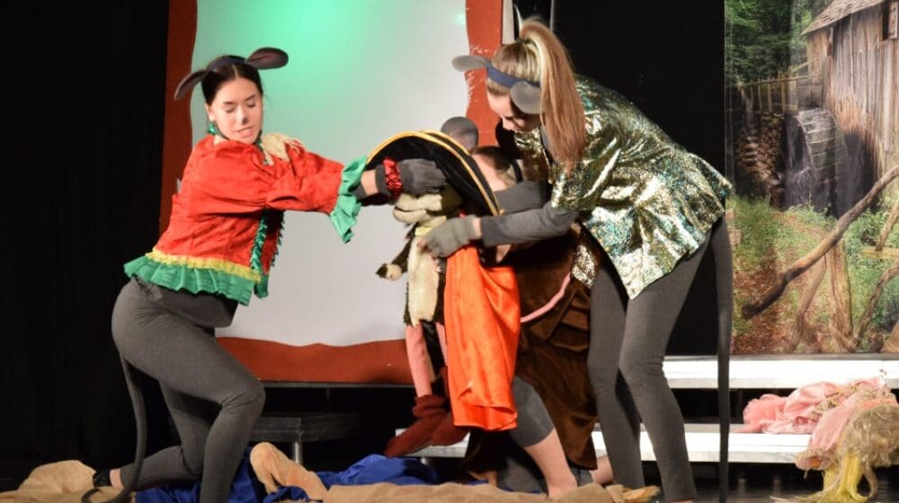 U Zaječaru odigrana predstava „Miš maus kuća haus iliti Mačak u čizmama“ 1