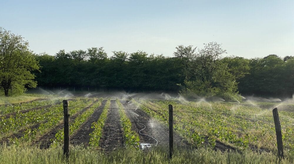 Pad proizvođačkih cena poljoprivrede i ribarstva 1