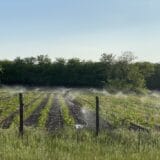 Pad proizvođačkih cena poljoprivrede i ribarstva 4