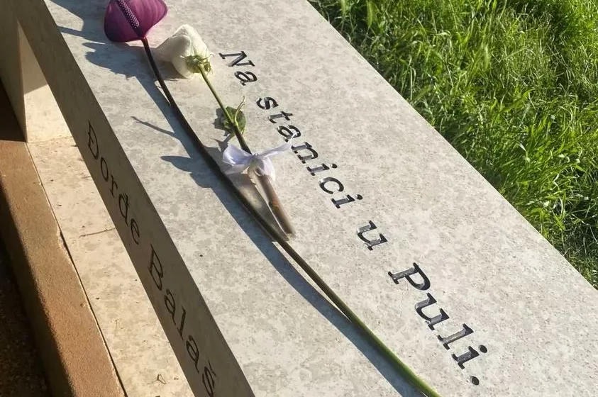 Novosađani izgleda “sporo pale”: Reakcije povodom klupe u Puli napravljene Balaševiću u čast 1