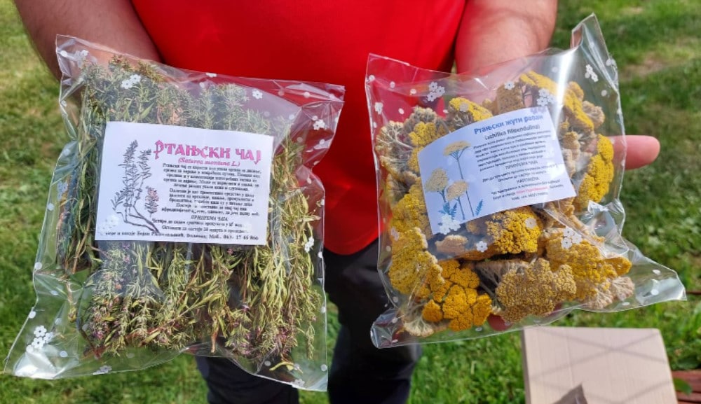 Kako je mašinac iz Boljevca postao travar i zašto bere lekovito bilje baš na Rtnju 2