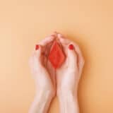 Da li je klitoris mali penis ili penis džinovski klitoris? 2