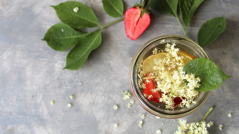 Recept nedelje: Sok (sirup) od zove 1