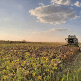 Žitištanski poljoprivrednici pozvani da osiguraju usev 3