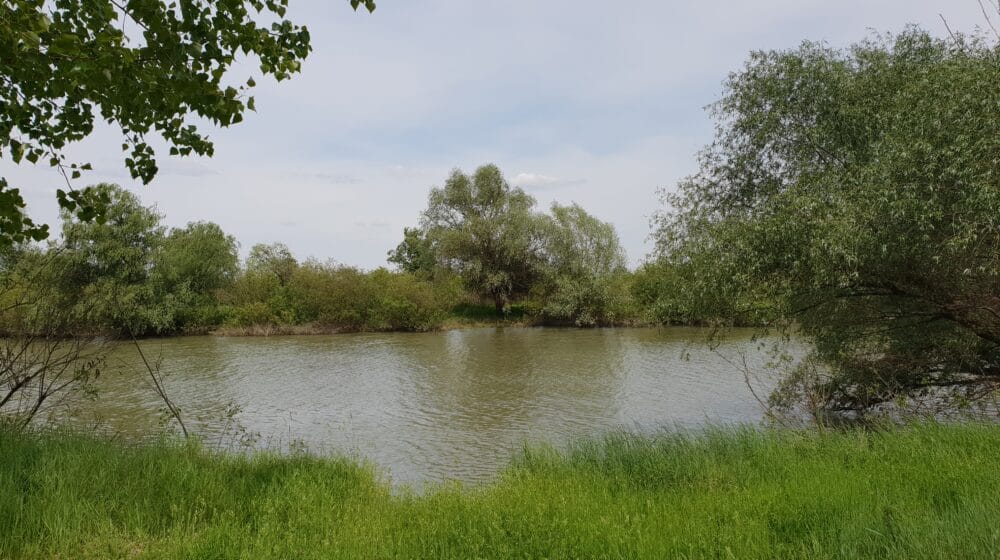 Do kraja maja na teritoriji Zrenjanina tretmani protiv komaraca 1