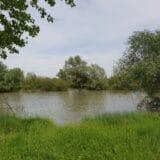 Do kraja maja na teritoriji Zrenjanina tretmani protiv komaraca 10