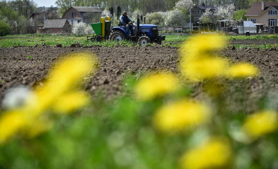 Rusi “izvezli” iz Ukrajine nekoliko stotina hiljada tona žita 1