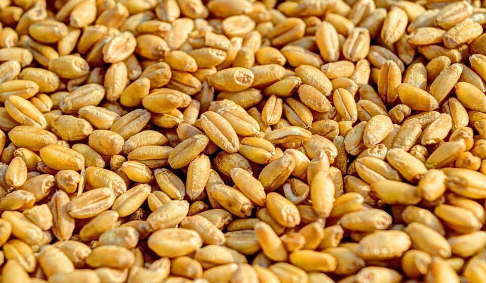 Ukrajinsko ministarstvo: Brodovima isplovilo više od 600.000 tona poljoprivrednih proizvoda 1