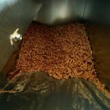 Zašto je cena peleta u Srbiji "otišla u nebesa"? 2