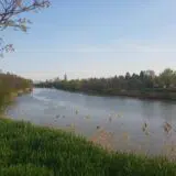 Počinje prskanje komaraca u Zrenjaninu 1