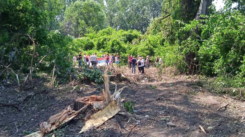 Borba za zaštitu Šodroša: Šta traže građani i ekološki aktivisti od gradonačelnika Novog Sada 1