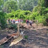 Borba za zaštitu Šodroša: Šta traže građani i ekološki aktivisti od gradonačelnika Novog Sada 11