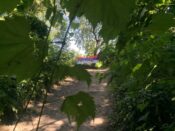 "I naprednjaci se protive uništavanju grada": Peti dan kampa na Šodrošu 4